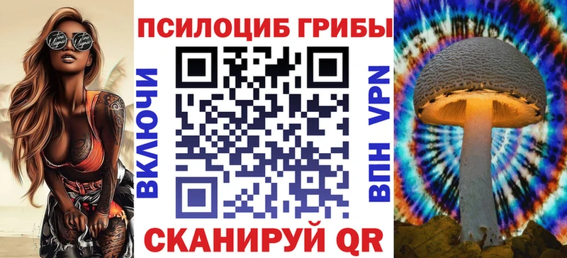 Галлюциногенные грибы Psilocybe  Чапаевск 